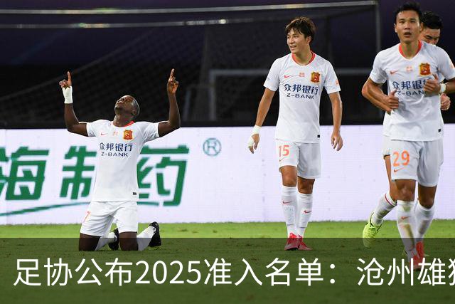 足协公布2025准入名单：沧州雄狮、广州队无缘