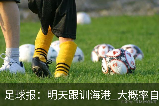 足球报：明天跟训海港 大概率自由身加盟 外援要补强